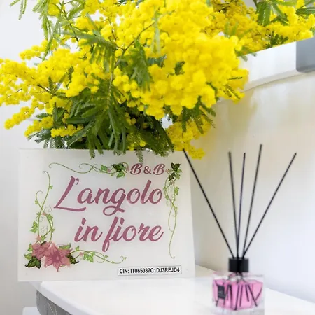L'angolo In Fiore Cava De' Tirreni